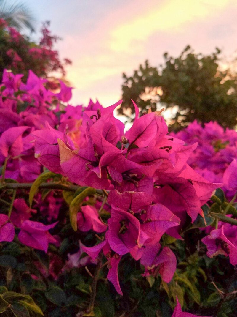 How Many Days In Turks And Caicos